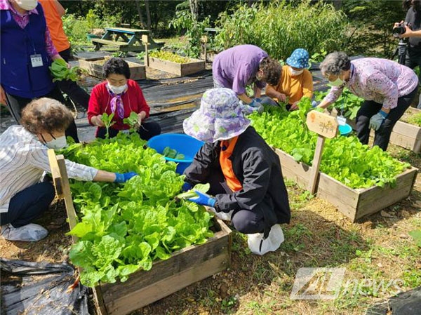 경남, 치유농업시설 역량강화 교육